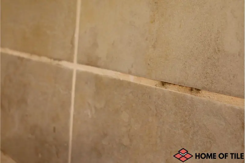 How-To-Remove-Mold-From-Tile-Grout.-What-pros-say