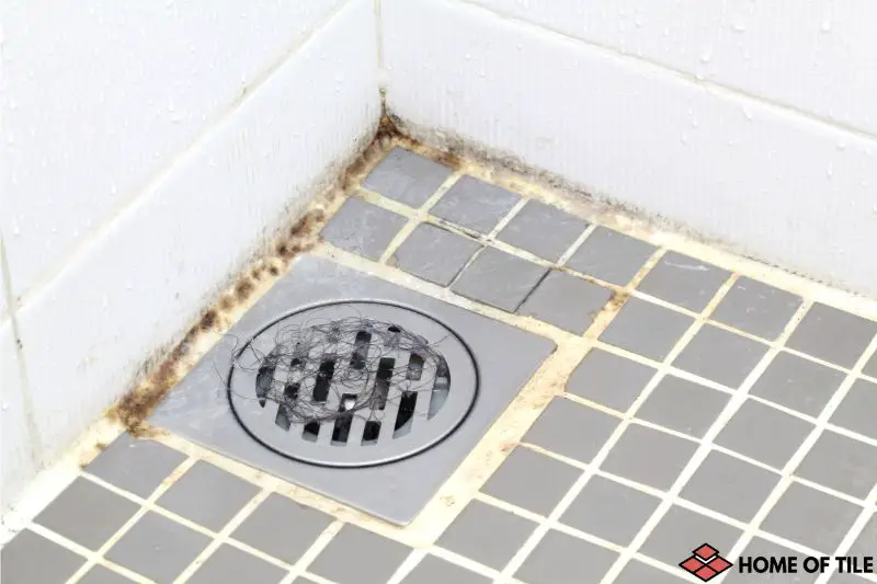 How-To-Prevent-Mold-in-Shower-Grout.-9-tips-from-professionals