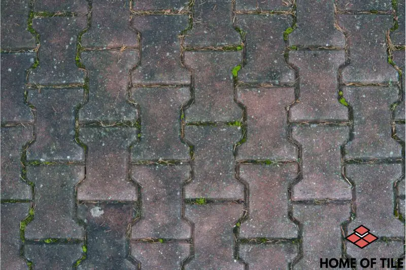 Outdoor Interlocking Tiles - 6 Things You Should Know