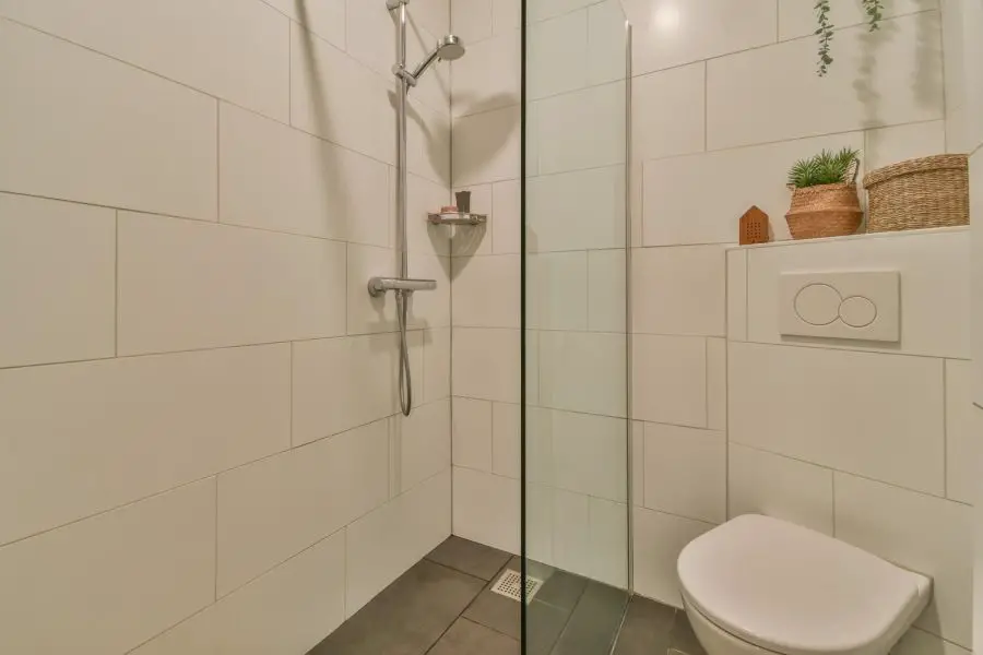 A bathroom with a shower and toilet